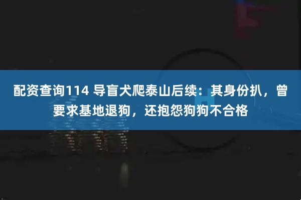 配资查询114 导盲犬爬泰山后续：其身份扒，曾要求基地退狗，还抱怨狗狗不合格