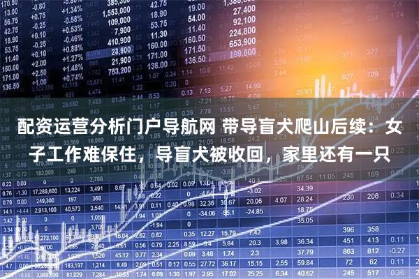 配资运营分析门户导航网 带导盲犬爬山后续：女子工作难保住，导盲犬被收回，家里还有一只