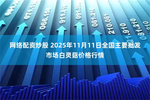 网络配资炒股 2025年11月11日全国主要批发市场白灵菇价格行情